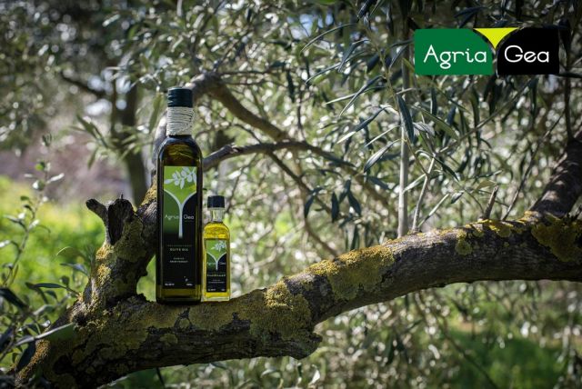 Extra virgin Olive Oil- Amoutsa από την ΑΓΡΙΑ ΓΑΙΑ
